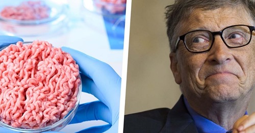 Bill Gates για τεχνητό κρέας: «Θα συνηθίσετε στην γεύση» – Καταρρέει η κτηνοτροφία στην Ελλάδα