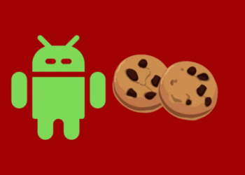 Αυτό το γνωρίζατε; – Έτσι θα διαγράψετε τα cookies σε Android