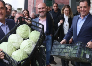 Άδωνις Γεωργιάδης: «Έχω κουβαλήσει χιλιάδες τελάρα στην ζωή μου από 15 χρονών, δεν είναι ντροπή!»