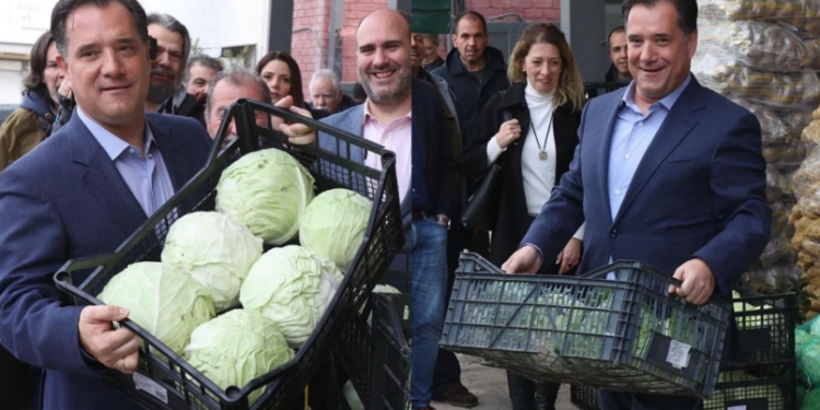 Άδωνις Γεωργιάδης: «Έχω κουβαλήσει χιλιάδες τελάρα στην ζωή μου από 15 χρονών, δεν είναι ντροπή!»