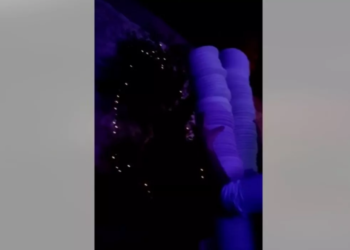 Απίστευτο σκηνικό σε μπουζούκια: Έφτιαξαν πύργους 2 μέτρων με πιάτα για να τα σπάσουν σε ένα τραγούδι (Βίντεο)