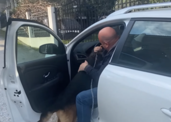 Θεσσαλονίκη: Σκύλος σμίγει με τον ιδιοκτήτη του 5 χρόνια μετά – Η απίστευτη χαρά του