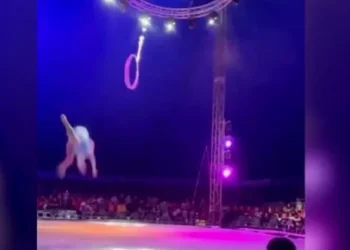 Βίντεο-ντοκουμέντο – Η τρομακτική στιγμή που ακροβάτισσα πέφτει στο κενό από μεγάλο ύψος
