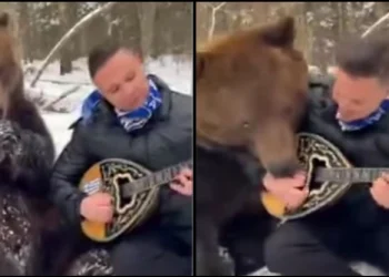 Λαρισαίος έγινε viral παίζοντας μπουζούκι στα χιόνι με μια αρκούδα δίπλα του να τον γλείφει(Βίντεο)