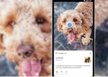 Google Search: Πώς η τεχνητή νοημοσύνη (ΑΙ) οπτικοποιεί τις αναζητήσεις