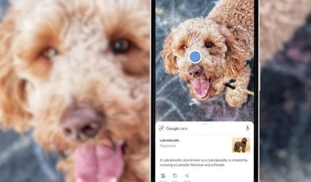 Google Search: Πώς η τεχνητή νοημοσύνη (ΑΙ) οπτικοποιεί τις αναζητήσεις