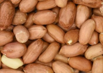 Ο ΕΦΕΤ ανακαλεί φυστίκια – Βρέθηκαν νεκρές προνύμφες μέσα στη συσκευασία!