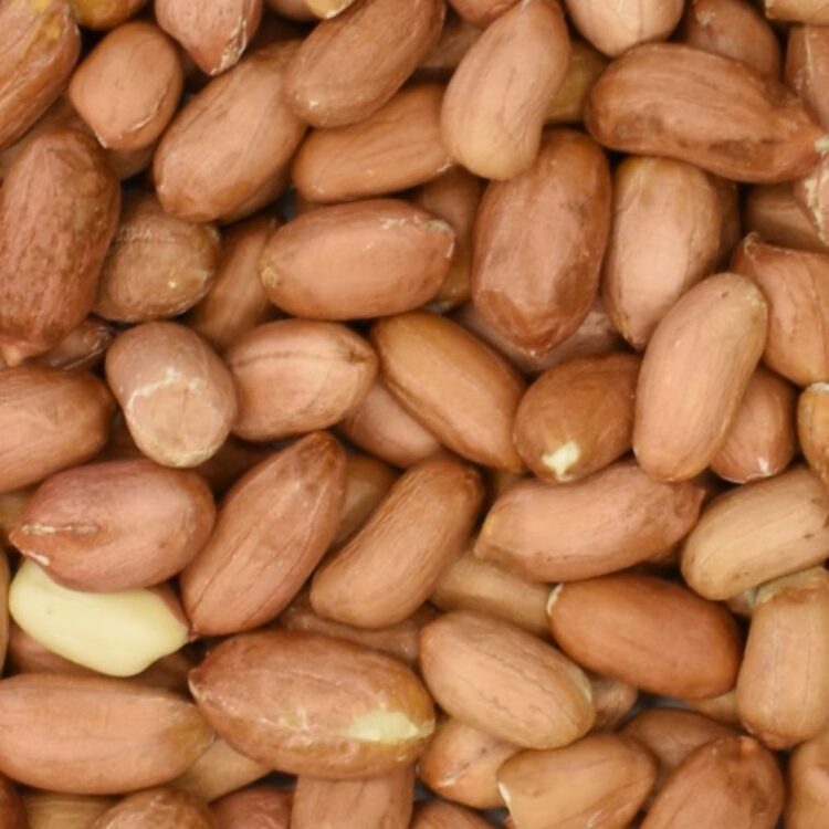 Ο ΕΦΕΤ ανακαλεί φυστίκια – Βρέθηκαν νεκρές προνύμφες μέσα στη συσκευασία!