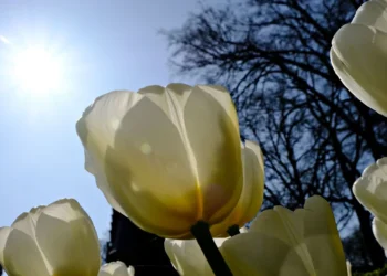 Καιρός: Μικρή άνοδος της θερμοκρασίας σήμερα, περιορίζονται οι βροχές