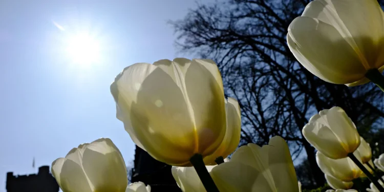 Καιρός: Μικρή άνοδος της θερμοκρασίας σήμερα, περιορίζονται οι βροχές