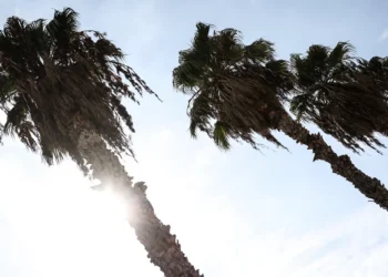 Καιρός: Συνεχίζεται και σήμερα η ηλιοφάνεια -Στους 23 βαθμούς Κελσίου θα σκαρφαλώσει ο υδράργυρος