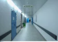 Μύκητας Candida Auris: Αυξημένη ανησυχία και στην Ελλάδα – «Αν μπει στο αίμα σου, πεθαίνεις»