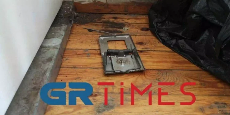 Τέμπη: Ποντίκια και ποντικοπαγίδες στο σταθμαρχείο Θεσσαλονίκης, με χαλασμένα συστήματα