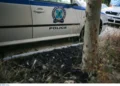 Χαλκιδική: Έδεσαν σε δέντρο 16χρονο γιατί τους χρωστούσε χρήματα!