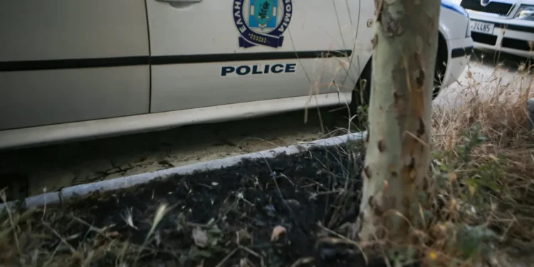 Χαλκιδική: Έδεσαν σε δέντρο 16χρονο γιατί τους χρωστούσε χρήματα!