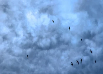 Καιρός: Πρόσκαιρη βελτίωση σήμερα -Υποχώρησε η κακοκαιρία «ILINA»