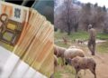 Βοσκός βρήκε 50.000 ευρώ σε στάνη και ξόδεψε 14.000 σε «γούστα» για τις γιορτές του Πάσχα