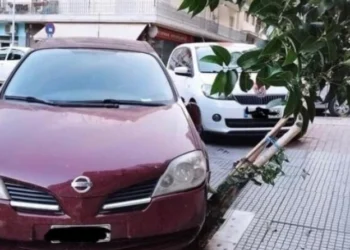 Πάρκαρε το αυτοκίνητό του πάνω σε κορμό δέντρου και τον μήνυσε ο δήμος Θεσσαλονίκης