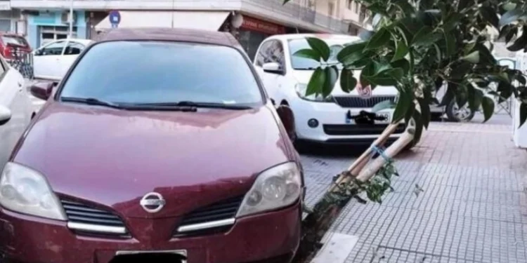 Πάρκαρε το αυτοκίνητό του πάνω σε κορμό δέντρου και τον μήνυσε ο δήμος Θεσσαλονίκης