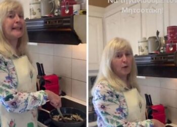 Η Αυλωνίτου του ΣΥΡΙΖΑ καλεί τους ψηφοφόρους μέσα από την κουζίνα της να τηγανίσουν τον Μητσοτάκη(Βίντεο)