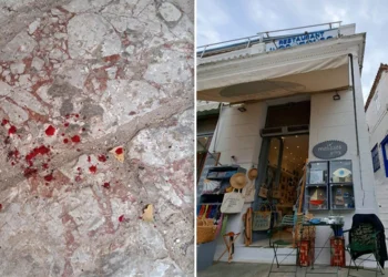 Κακοποίηση γάτας στην Ύδρα: Αντιμέτωπος με πρόστιμο €15.000 ο 55χρονος