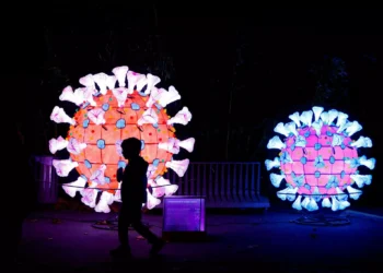 Ματίνα Παγώνη: Νέος ιός απειλεί με πανδημία αν περάσει στον άνθρωπο – Πολύ πιο θανατηφόρος από την COVID