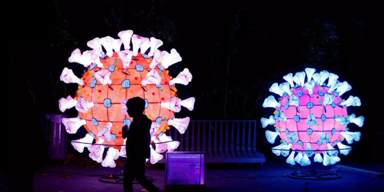 Ματίνα Παγώνη: Νέος ιός απειλεί με πανδημία αν περάσει στον άνθρωπο – Πολύ πιο θανατηφόρος από την COVID