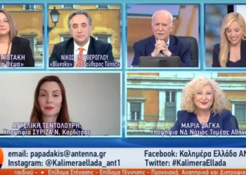 Βόμβες από υποψήφια της ΝΔ: Στα καύσιμα υπάρχει το παρακράτος, όσο είναι ακριβή η βενζίνη κερδίζει το παρακράτος