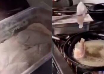 Κάρπαθος: Σάλος με το βίντεο από ταβέρνα που βάζουν ζωντανά ψάρια στο τηγάνι