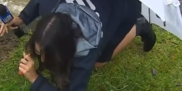 Ρεπόρτερ γλίστρησε και έπεσε σε ζωντανή σύνδεση(Βίντεο)