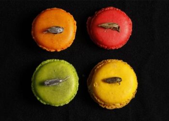 Ποια είναι τα 4 έντομα που πήραν πράσινο φως ως τα «νέα τρόφιμα»(Εικόνες&Βίντεο)