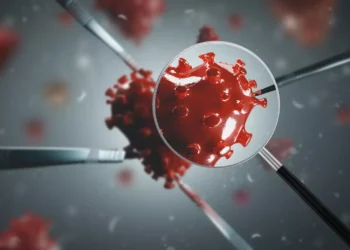 Η Κίνα ανακάλυψε 2 νέους κορονοϊούς σε νυχτερίδες και ισχυρίζεται ότι απέδειξε την προέλευση της COVID-19