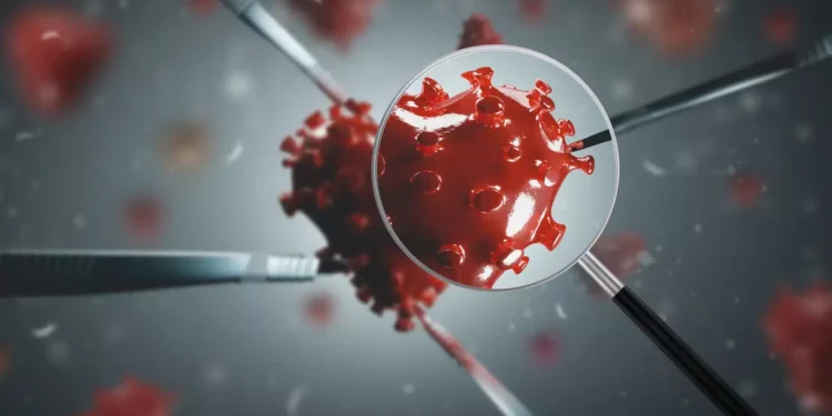 Η Κίνα ανακάλυψε 2 νέους κορονοϊούς σε νυχτερίδες και ισχυρίζεται ότι απέδειξε την προέλευση της COVID-19