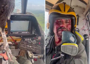 Τεράστιο πουλί προσέκρουσε σε αεροσκάφος – Με αίματα αλλά… ατάραχος ο πιλότος