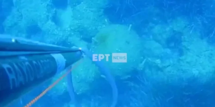 Κεφαλονιά: Η στιγμή που ψαροντουφεκάς εντοπίζει νάρκη στον βυθό – Εντυπωσιακές εικόνες