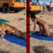 Ντίνγκο βολτάρει στην παραλία και δαγκώνει στα οπίσθια λουόμενη (Βίντεο)