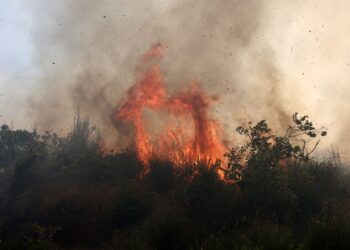 Κικίλιας: Μέσα σε τρεις μέρες είχαμε 200 πυρκαγιές κάτω από ακραίες κλιματολογικές συνθήκες