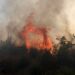 Κικίλιας: Μέσα σε τρεις μέρες είχαμε 200 πυρκαγιές κάτω από ακραίες κλιματολογικές συνθήκες