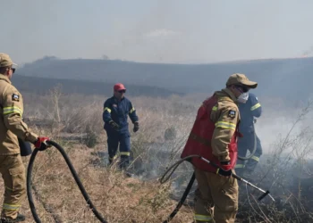Ασπρόπυργος: Φωτιά σε χαμηλή βλάστηση – Επιχειρούν 25 πυροσβέστες και εναέρια μέσα
