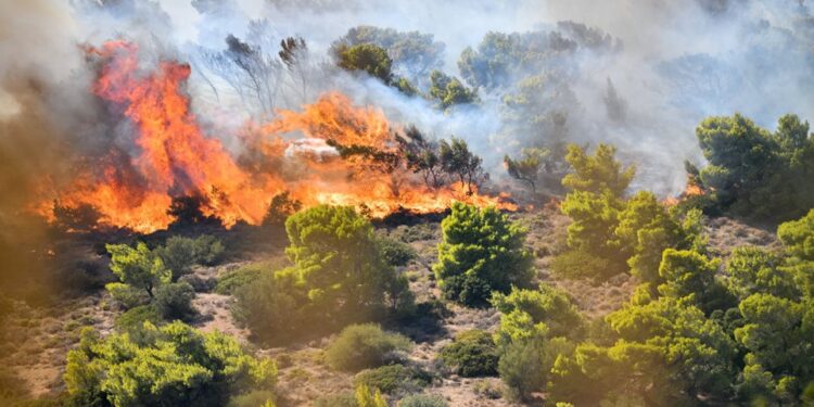 Αυτός είναι ο εμπρηστικός μηχανισμός που εντοπίστηκε στον Υμηττό