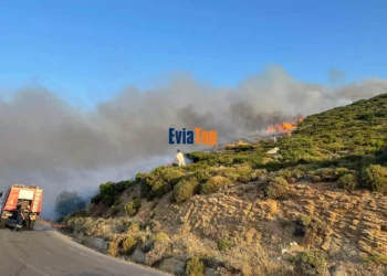 Φωτιά στην Κάρυστο: Νέο μέτωπο στον Πλατανιστό – Μήνυμα του 112 για εκκένωση του Πλατύ Γιαλού