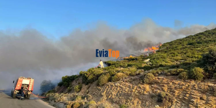 Φωτιά στην Κάρυστο: Νέο μέτωπο στον Πλατανιστό – Μήνυμα του 112 για εκκένωση του Πλατύ Γιαλού
