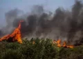 Φωτιά στην Πέλλα, στην περιοχή του Προφήτη Ηλία -Σηκώθηκε και αεροσκάφος