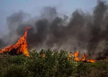 Φωτιά στην Πέλλα, στην περιοχή του Προφήτη Ηλία -Σηκώθηκε και αεροσκάφος