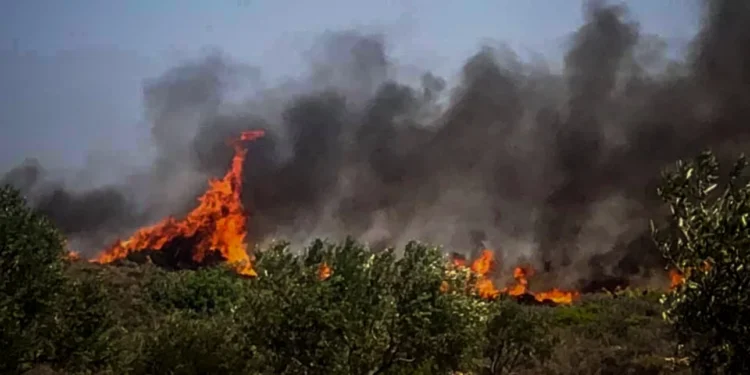 Φωτιά στην Πέλλα, στην περιοχή του Προφήτη Ηλία -Σηκώθηκε και αεροσκάφος