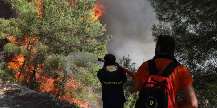 Φωτιά τώρα στη Μεσσηνία: Κοντά στον χωριό Μαθιά οι φλόγες