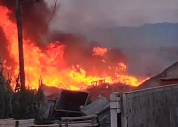 Χαλκιδική: Φωτιά ξέσπασε στην Καλλιθέα – Σε ποιο σημείο