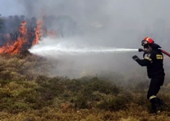 Κεφαλονιά: Συνελήφθησαν δύο άνδρες για πρόκληση πυρκαγιάς στο Αργοστόλι