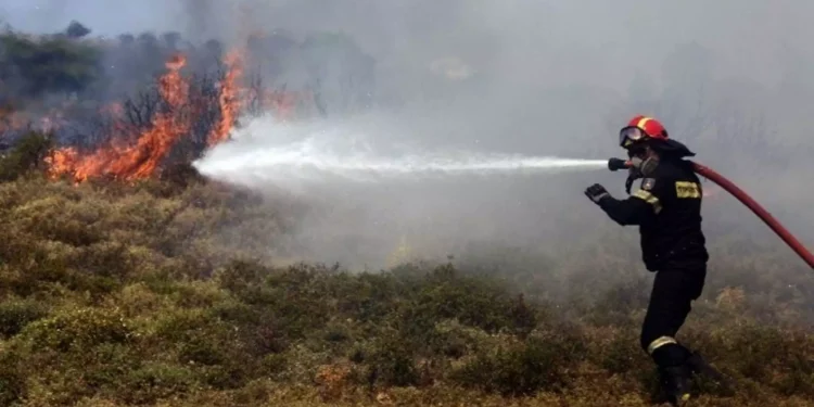 Κεφαλονιά: Συνελήφθησαν δύο άνδρες για πρόκληση πυρκαγιάς στο Αργοστόλι