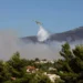 Επεσε Canadair στην Κάρυστο, ενώ επιχειρούσε στη φωτιά (video)